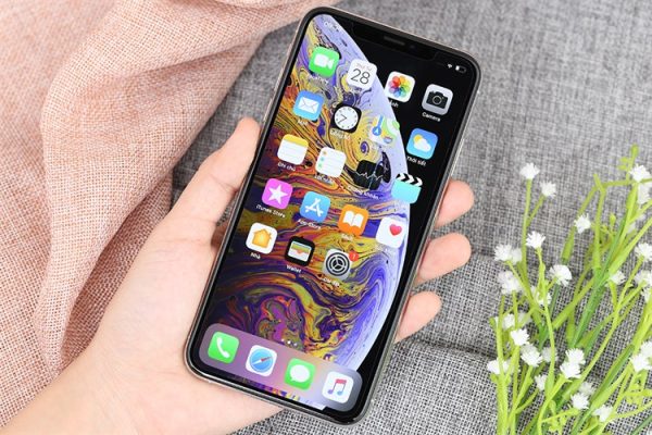 iPhone XS Max Chính Hãng Cũ 99 % - Ảnh 21